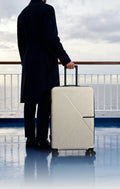 Black checked luggage suitcase with spinner wheels