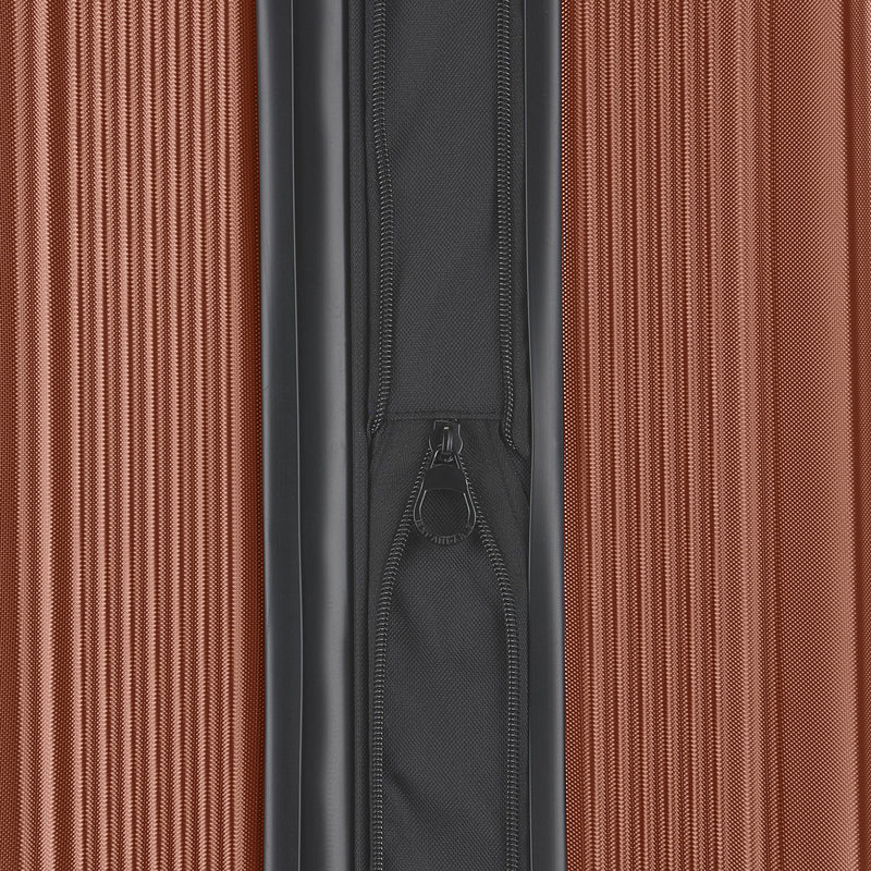 Singapore Check-In Large