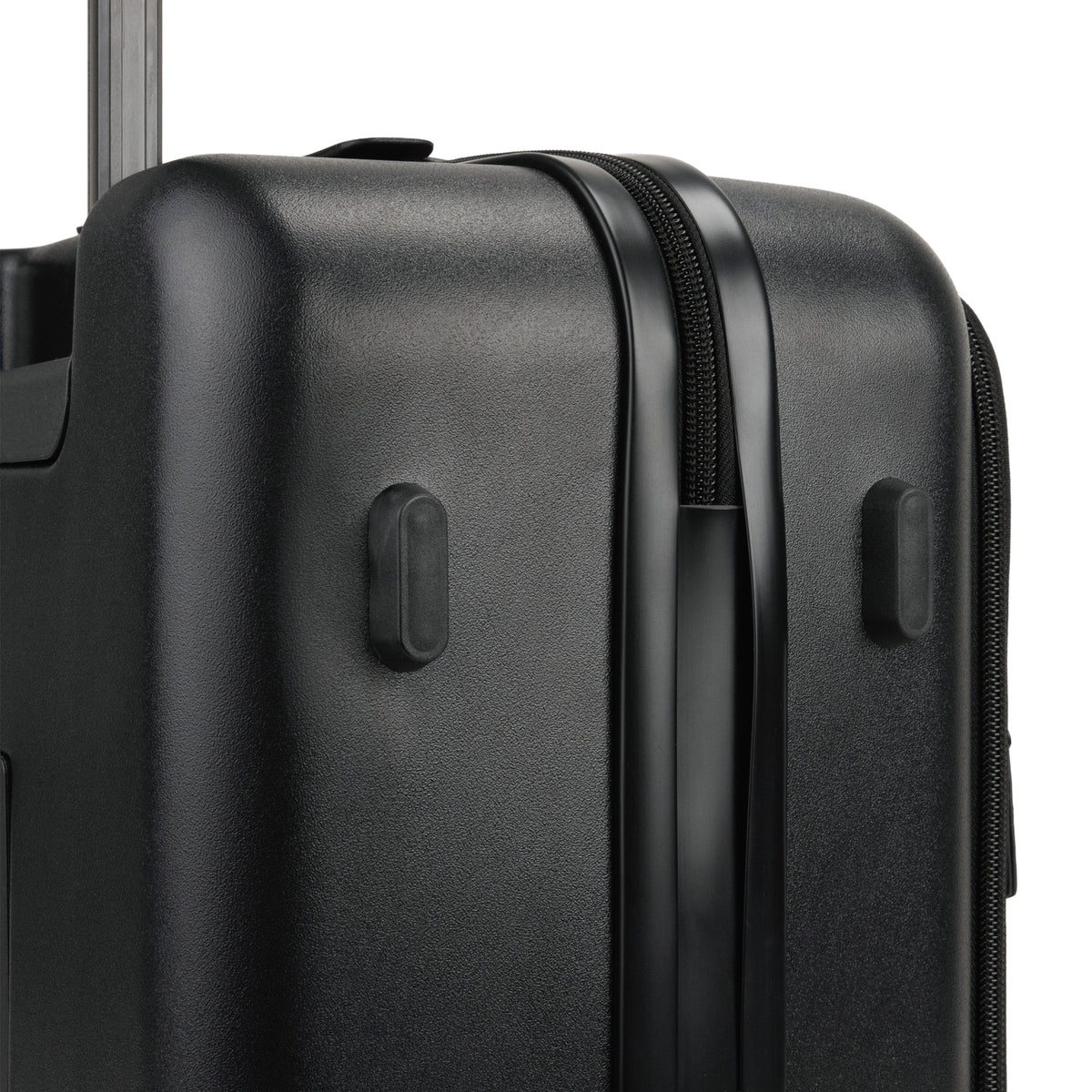 Raphael Carry-on