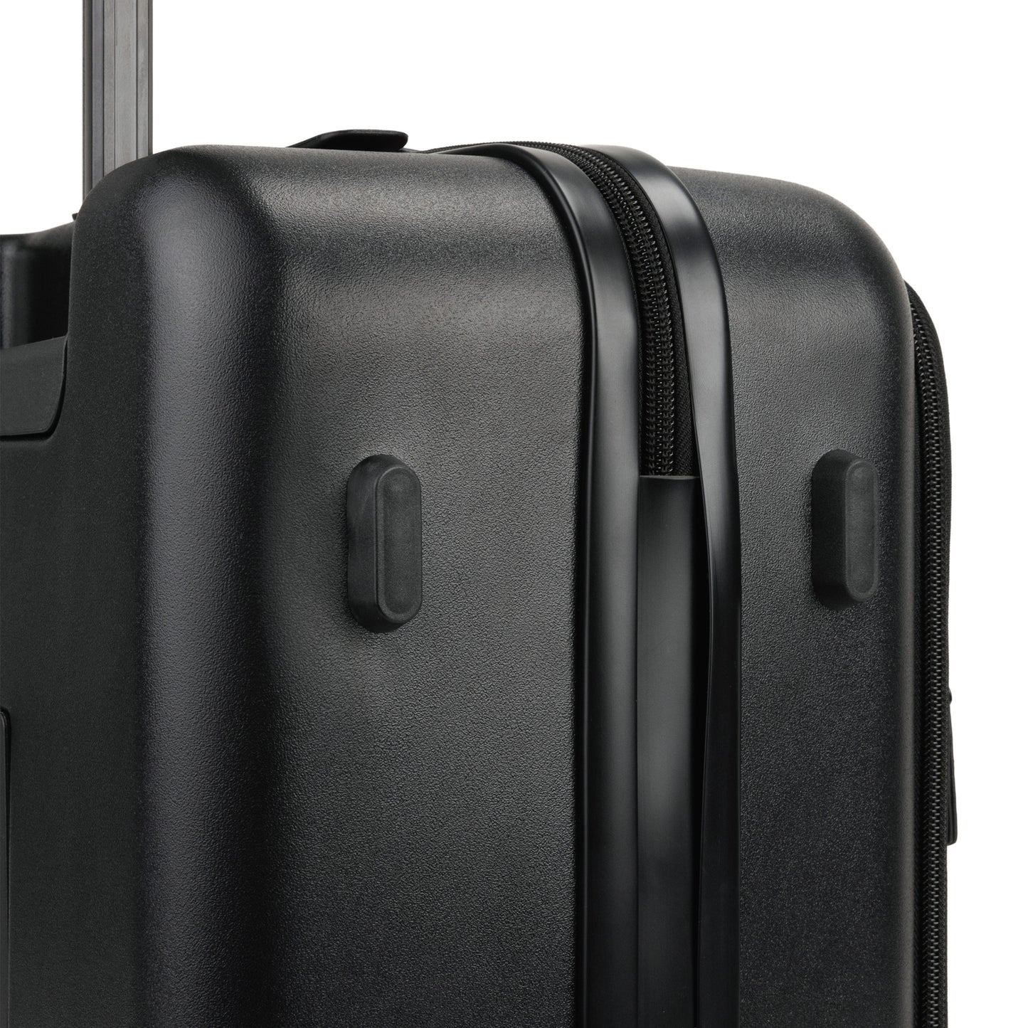Raphael Carry-on