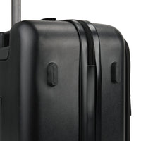 Raphael Carry-on