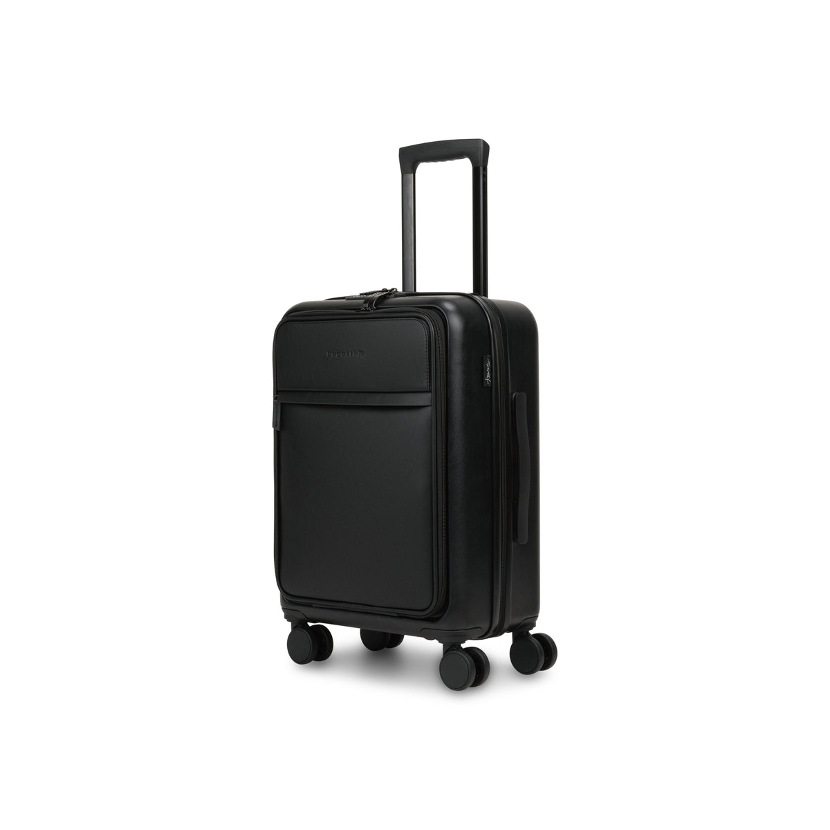 Raphael Carry-on