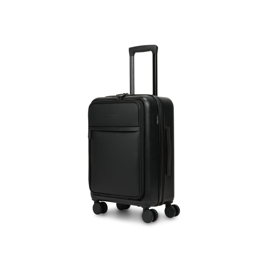 Raphael Carry-on