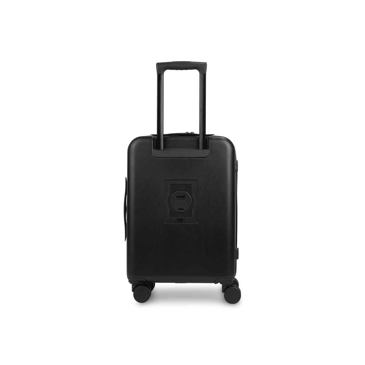Raphael Carry-on