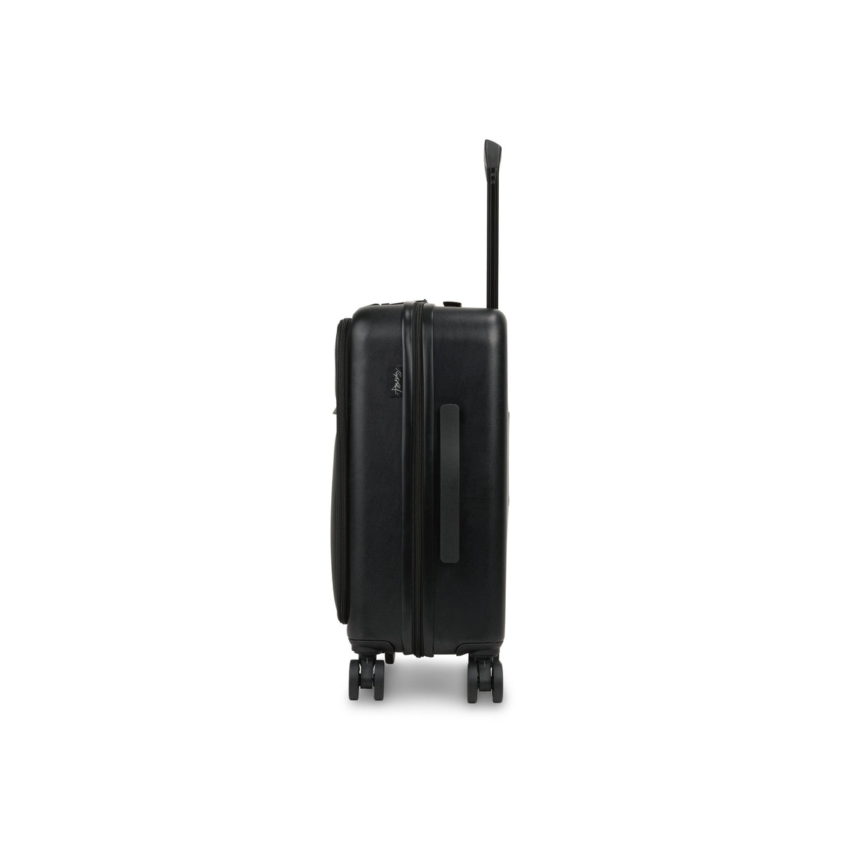 Raphael Carry-on