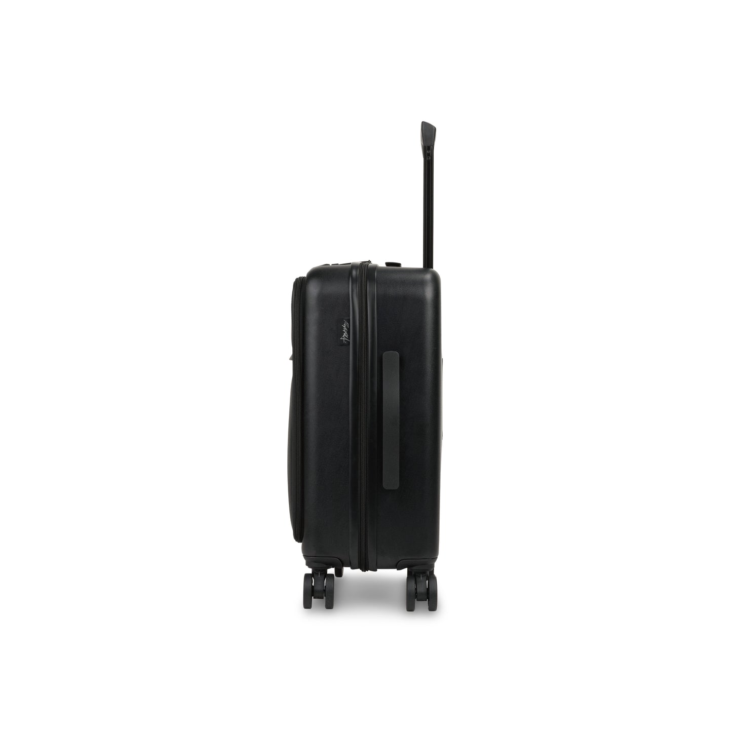 Raphael Carry-on