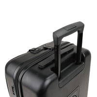 Raphael Carry-on